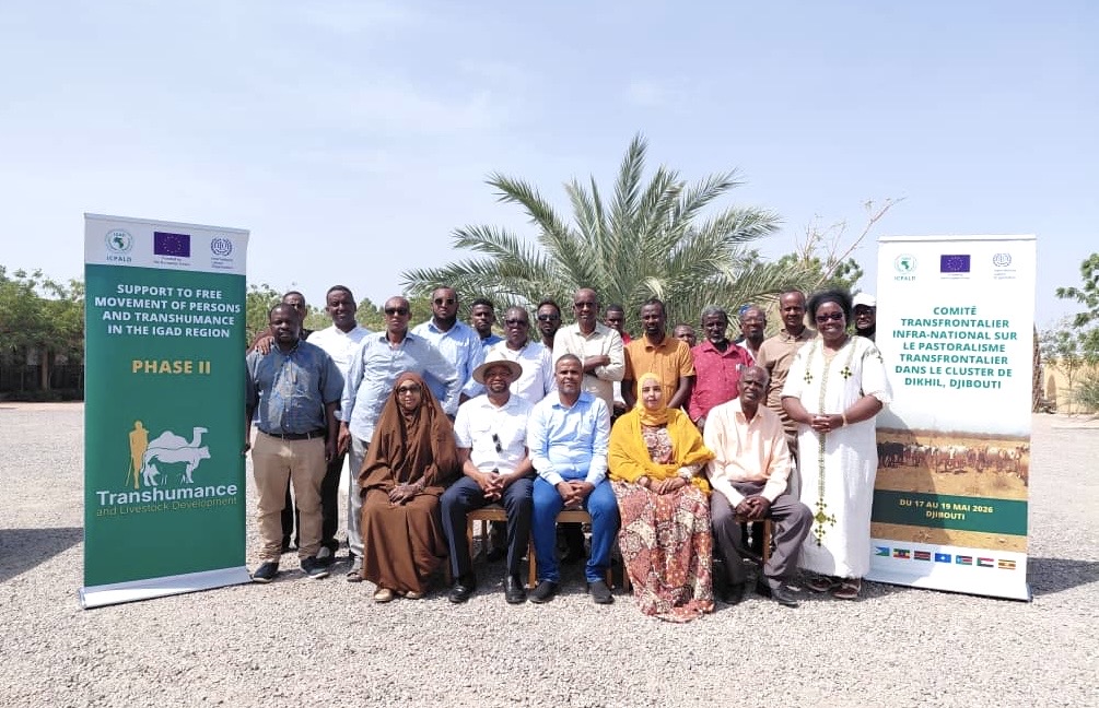 EU-Funded Initiative Strengthens Pastoral Livelihoods, Livestock Mobility in Djibouti